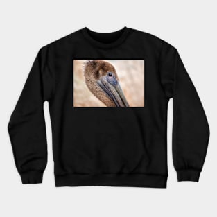 Brown Pelican Portrait Crewneck Sweatshirt